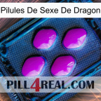 Dragon Sex Pills 04